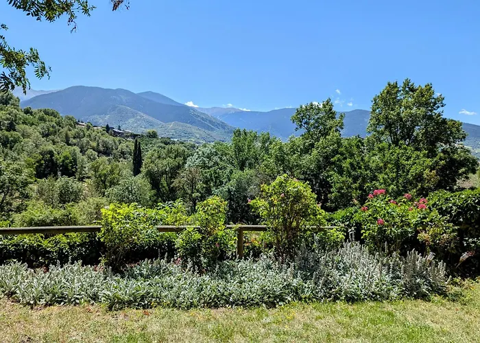 Roulotte Du Mas Rondole