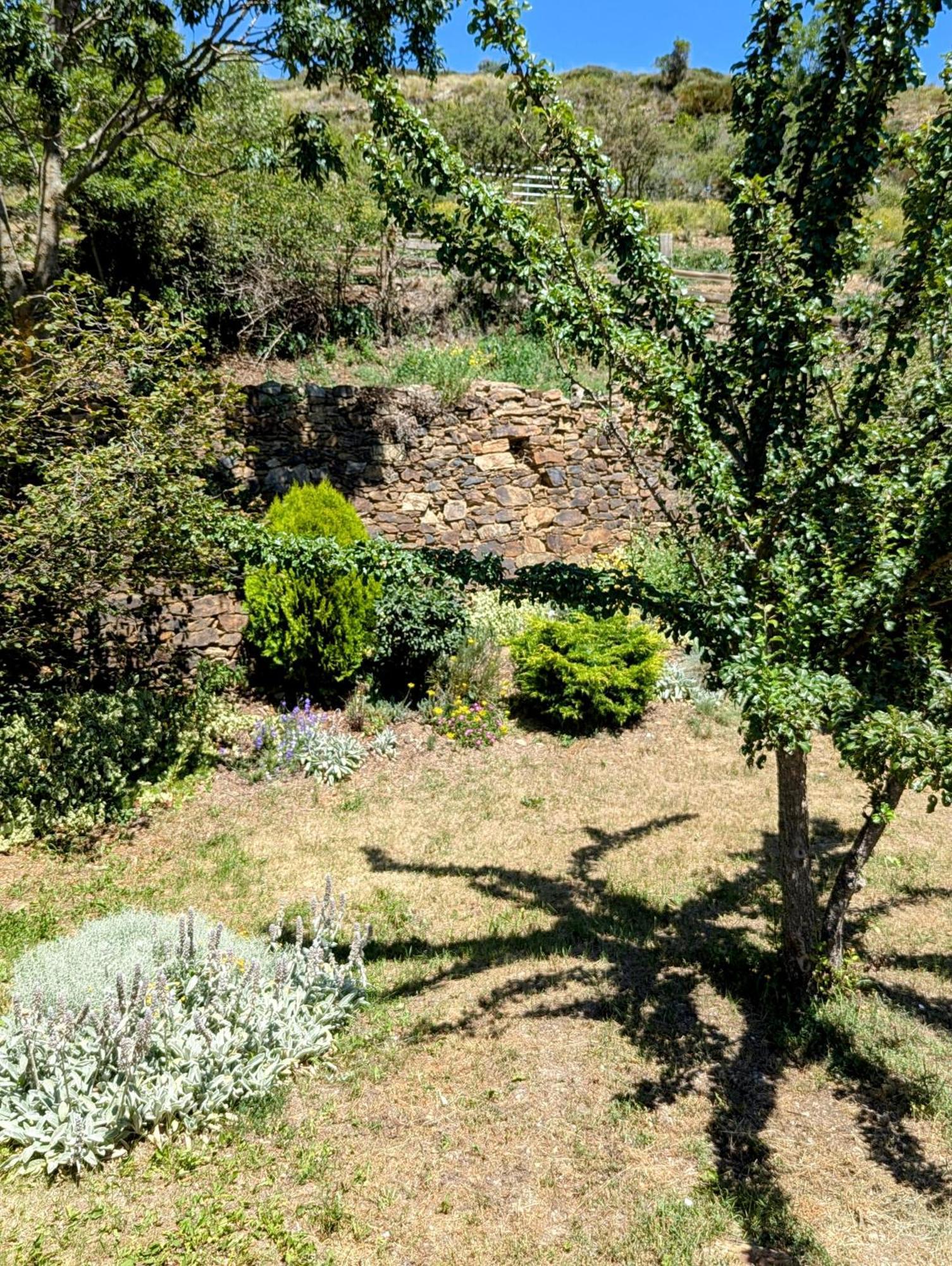Roulotte Du Mas Rondole Chalet *